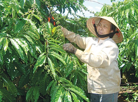 Đắc Nông trao nhà tình nghĩa cho cựu Thanh niên xung phong - ảnh 1